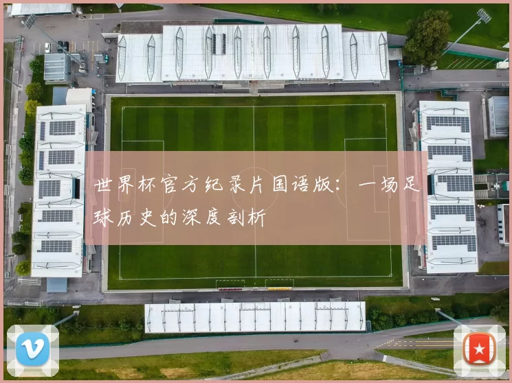 世界杯官方纪录片国语版：一场足球历史的深度剖析