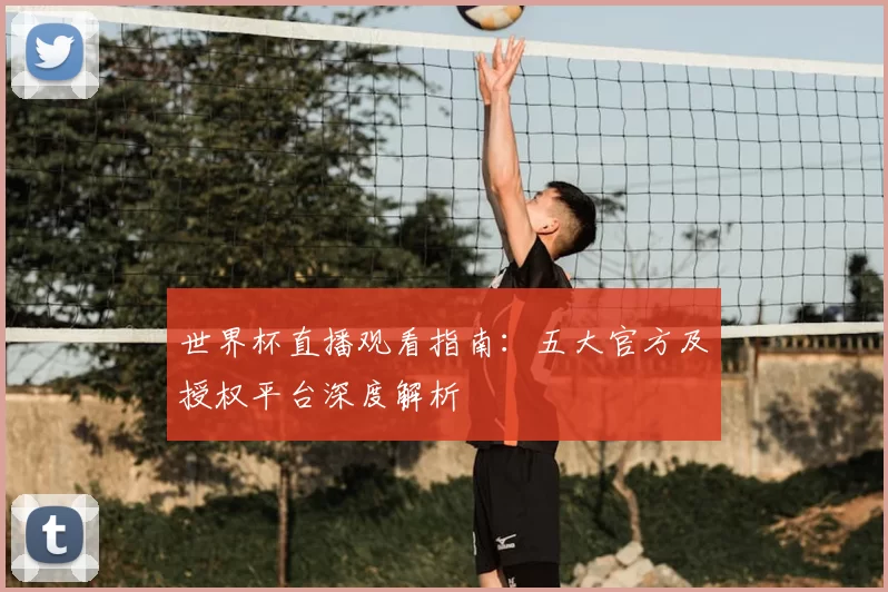 世界杯直播观看指南：五大官方及授权平台深度解析
