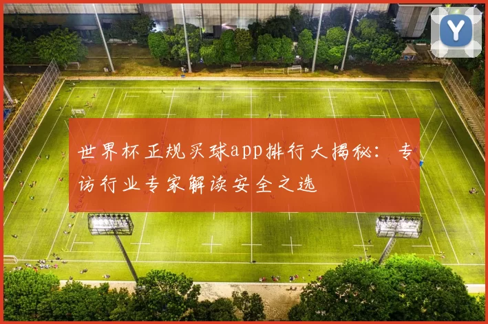 世界杯正规买球app排行大揭秘：专访行业专家解读安全之选