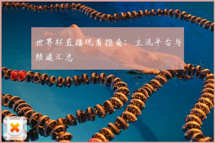 世界杯直播观看指南：主流平台与频道汇总