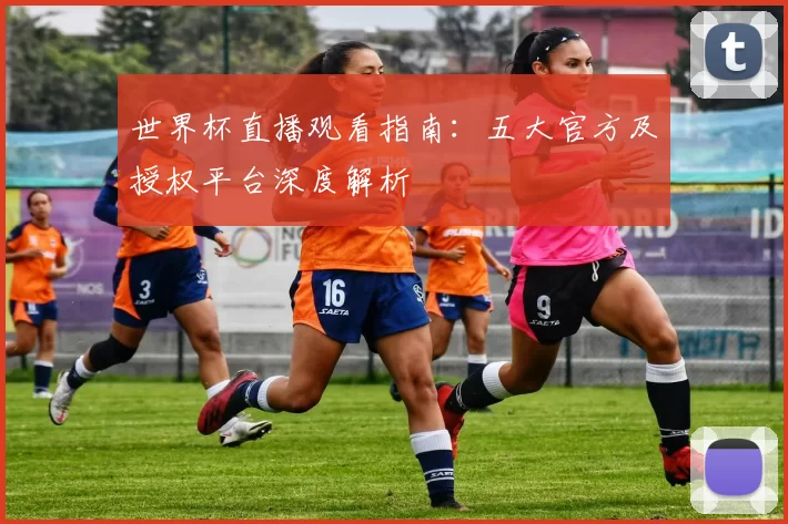 世界杯直播观看指南：五大官方及授权平台深度解析